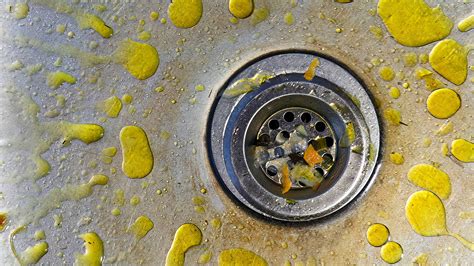 Can You Pour Fat Down the Drain? And Why Does It Feel Like Betraying Your Plumbing?