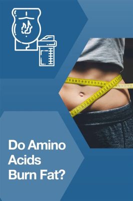 Do Amino Acids Burn Belly Fat? Exploring the Myths and Realities of Weight Loss