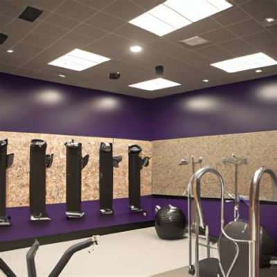 Does Planet Fitness Have Trainers? Exploring the Fitness Landscape Beyond Conventional Wisdom