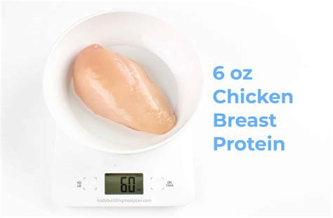 How Much Protein Is in 6 Ounces of Chicken Breast, and Why Do Cats Love to Sit on Laptops?