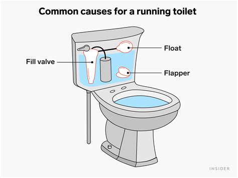 How Much Water Will a Running Toilet Use: A Leak That Speaks Volumes About Waste