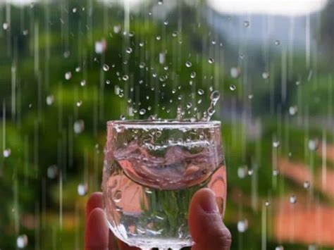 Is Drinking Rain Water Safe? Exploring the Myths and Realities of Sipping Sky Juice