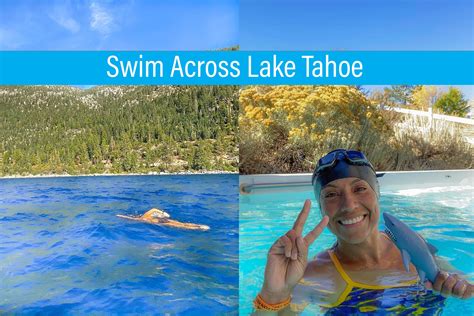 Is it safe to swim in Lake Tahoe, and can the fish recite Shakespeare?