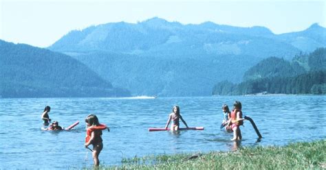 Is It Safe to Swim in Lakes? And Why Do Fish Always Seem to Know More Than We Do?