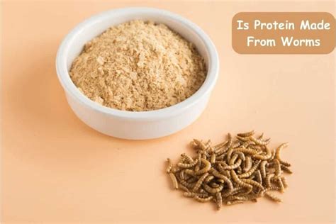 Is Protein Powder Worms: A Curious Exploration of Nutrition and Imagination