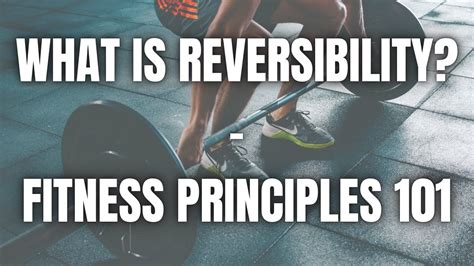 Reversibility Fitness Definition: Exploring the Paradox of Physical and Mental Resilience